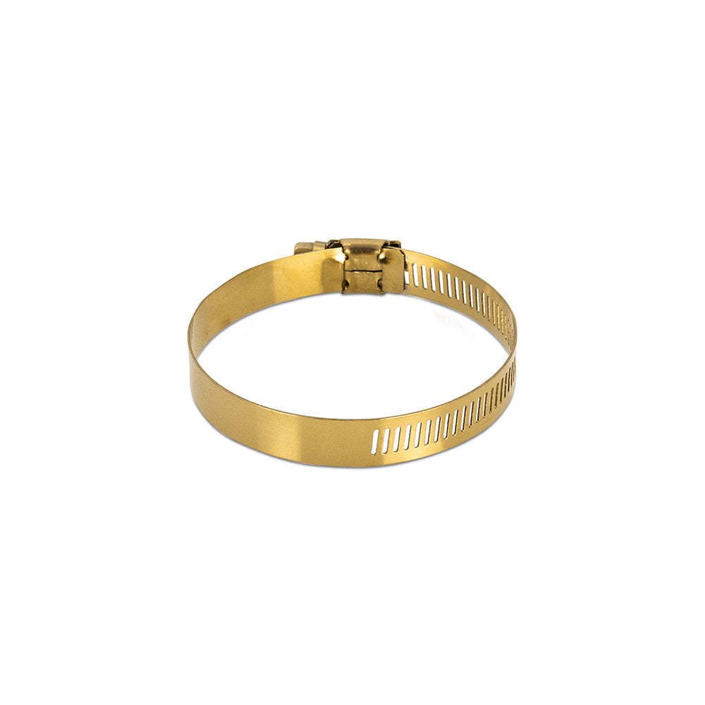 10x High-Torque Worm Gear Clamp, Gold, 20mm - image 2