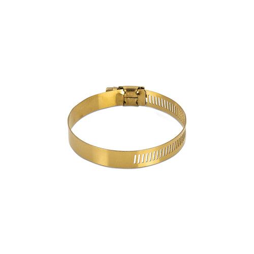 10x High-Torque Worm Gear Clamp, Gold, 20mm - image 2